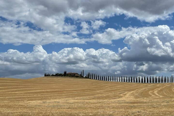 Chianti Classico